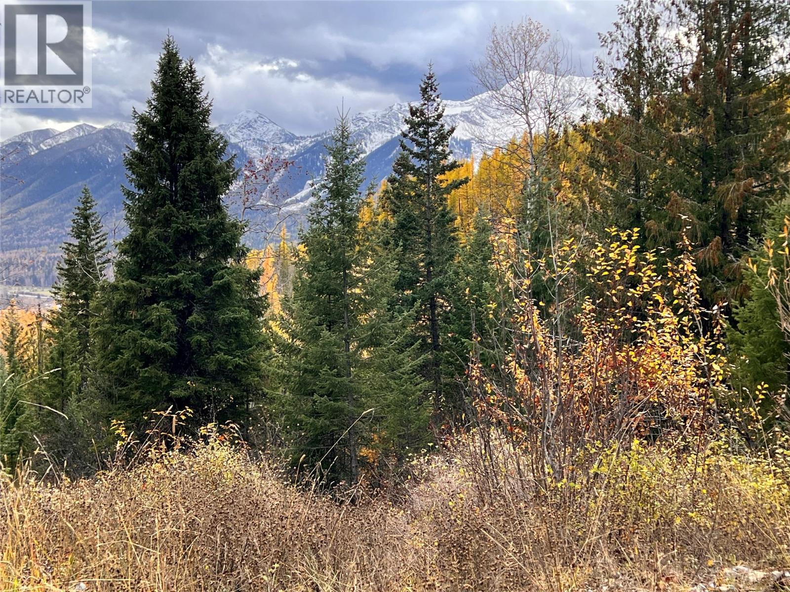 126 Burma Road, Fernie, British Columbia  V0B 1M0 - Photo 42 - 10355186