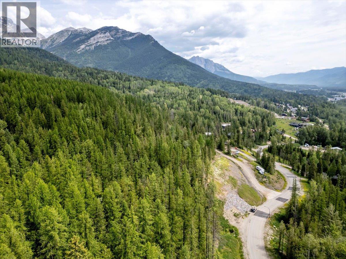 126 Burma Road, Fernie, British Columbia  V0B 1M0 - Photo 9 - 10355186