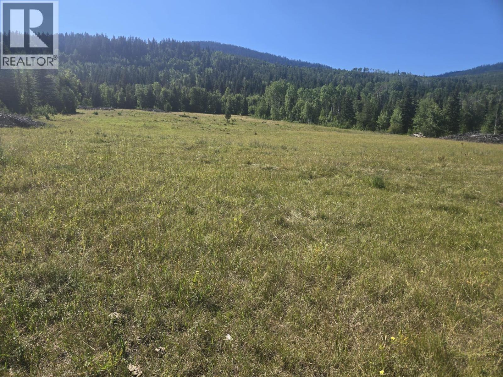 3680 Miller Lake Fsr Forest, Falkland, British Columbia  V0E 1W1 - Photo 10 - 10357504