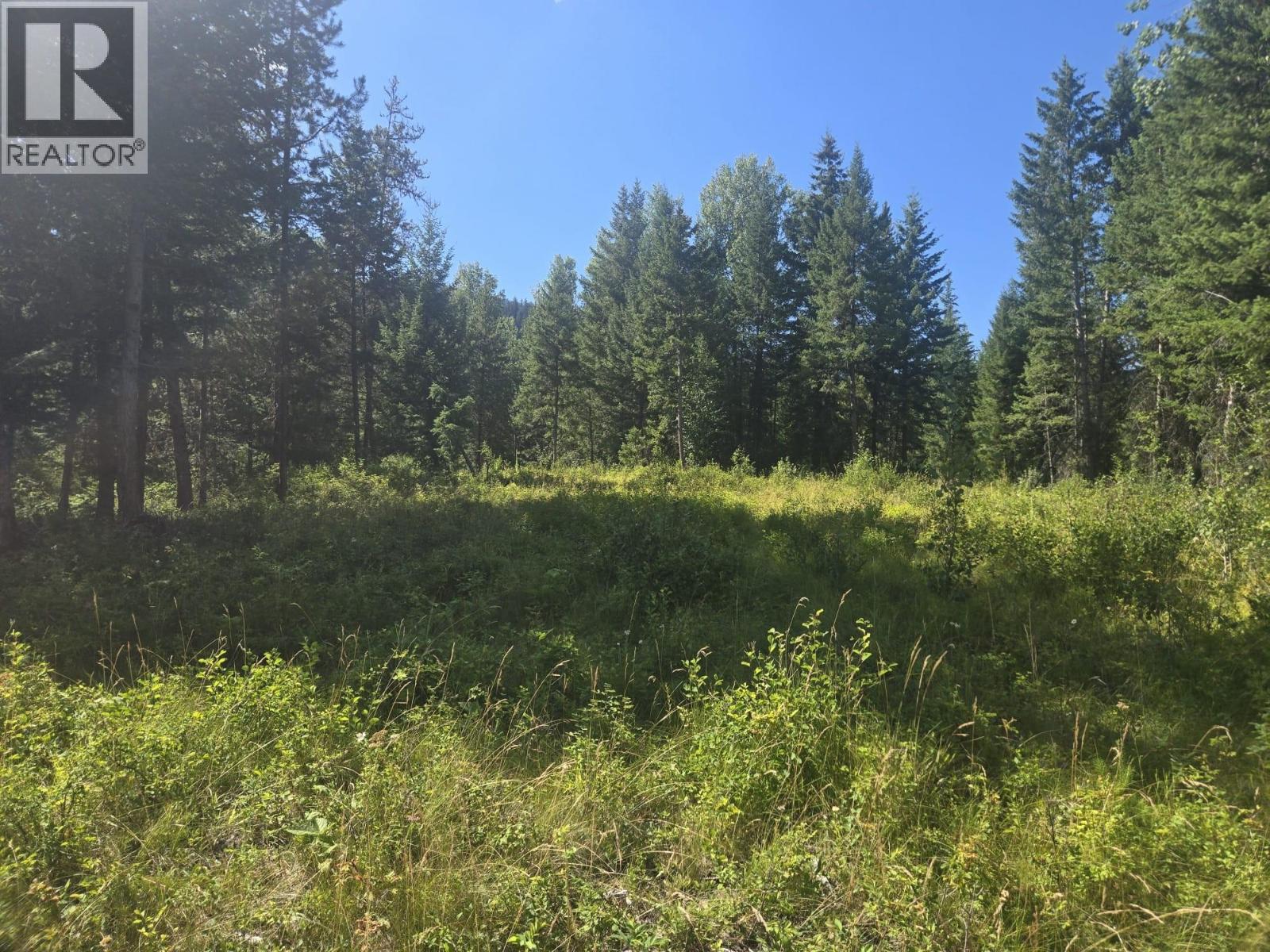 3680 Miller Lake Fsr Forest, Falkland, British Columbia  V0E 1W1 - Photo 12 - 10357504