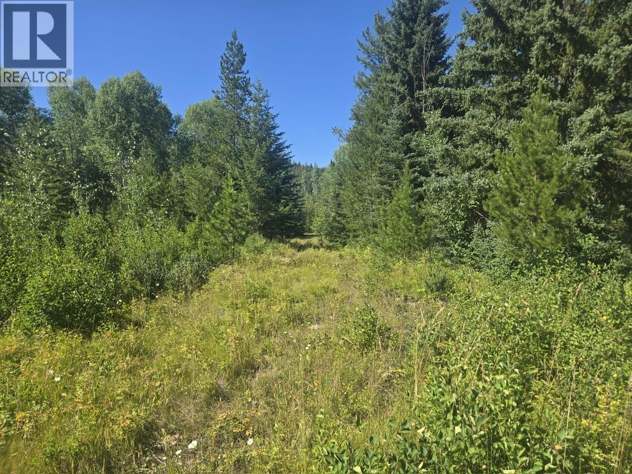 3680 Miller Lake Fsr Forest, Falkland, British Columbia  V0E 1W1 - Photo 13 - 10357504