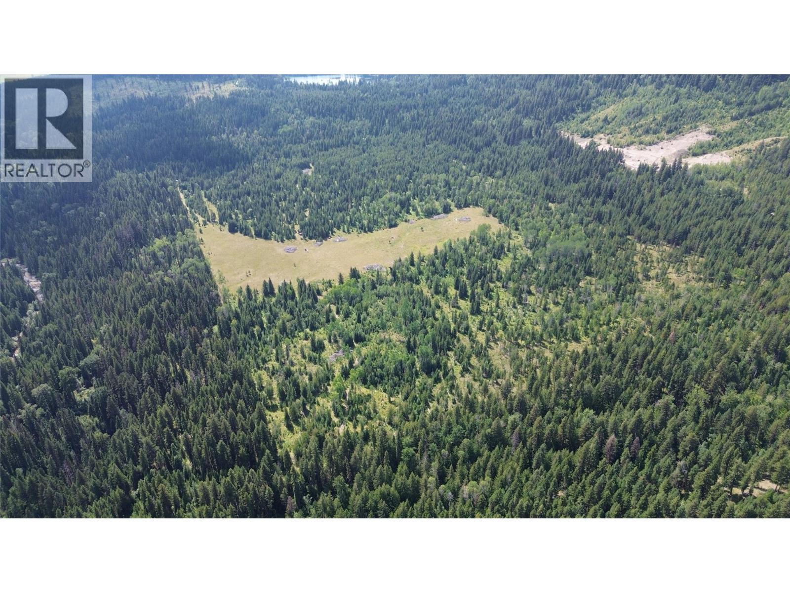 3680 Miller Lake Fsr Forest, Falkland, British Columbia  V0E 1W1 - Photo 15 - 10357504