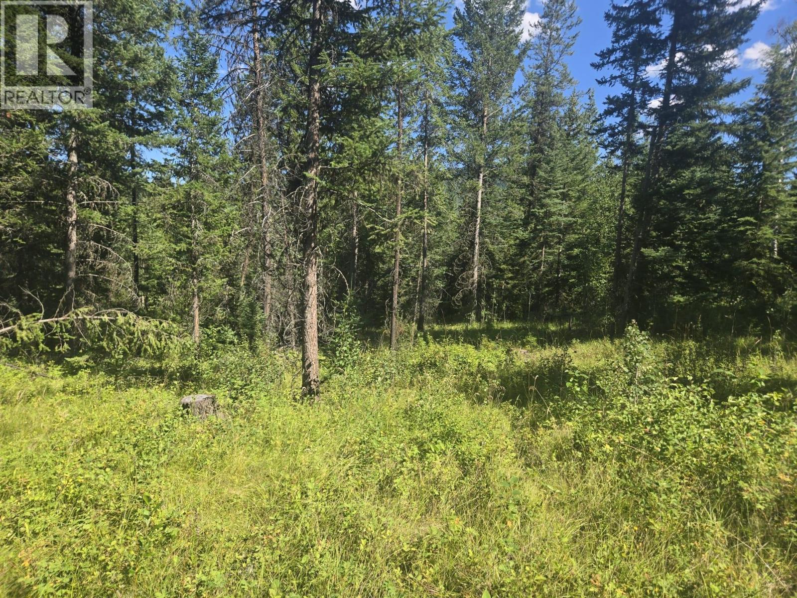 3680 Miller Lake Fsr Forest, Falkland, British Columbia  V0E 1W1 - Photo 16 - 10357504