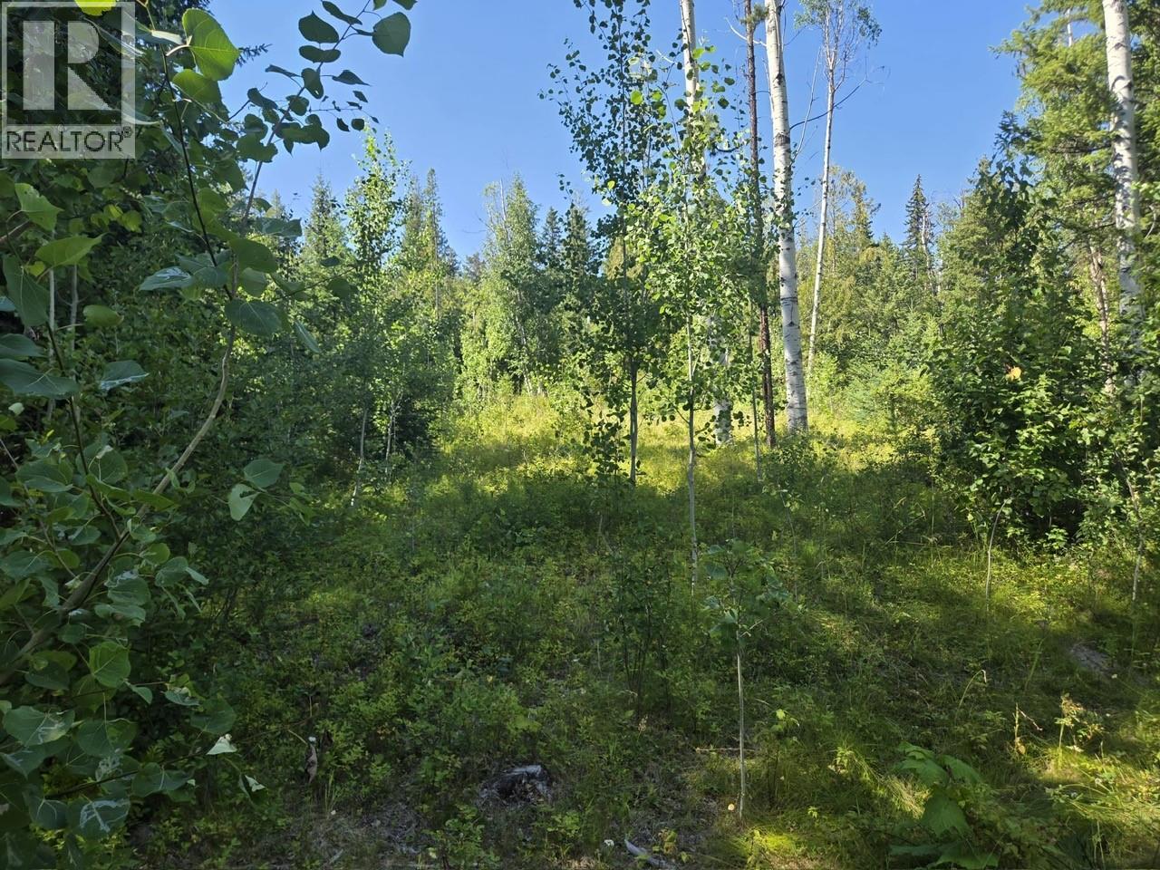 3680 Miller Lake Fsr Forest, Falkland, British Columbia  V0E 1W1 - Photo 18 - 10357504