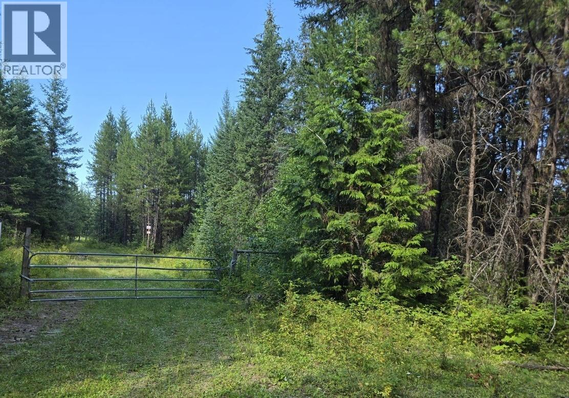 3680 Miller Lake Fsr Forest, Falkland, British Columbia  V0E 1W1 - Photo 2 - 10357504
