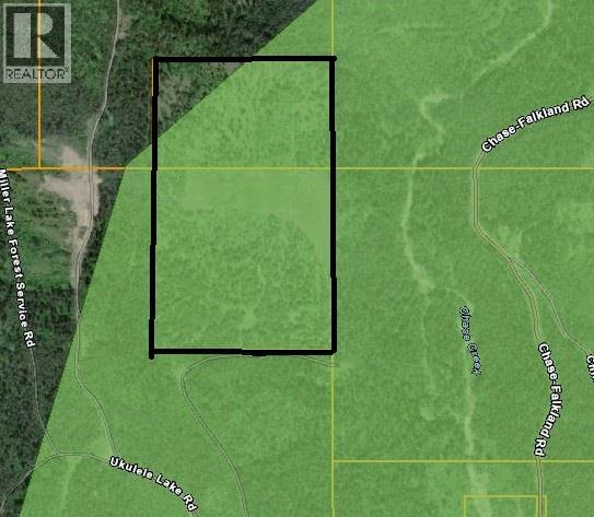 3680 Miller Lake Fsr Forest, Falkland, British Columbia  V0E 1W1 - Photo 20 - 10357504