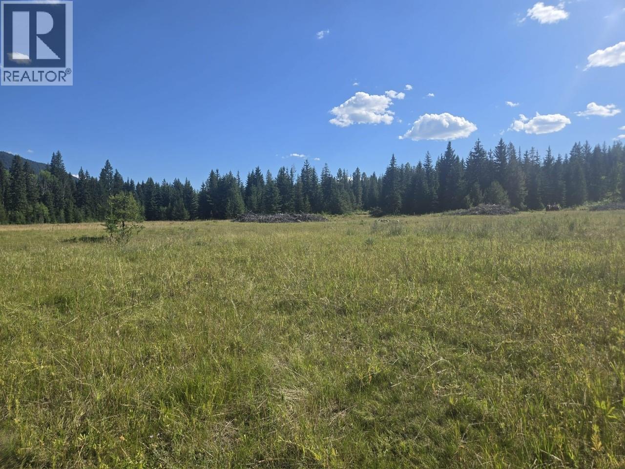 3680 Miller Lake Fsr Forest, Falkland, British Columbia  V0E 1W1 - Photo 21 - 10357504