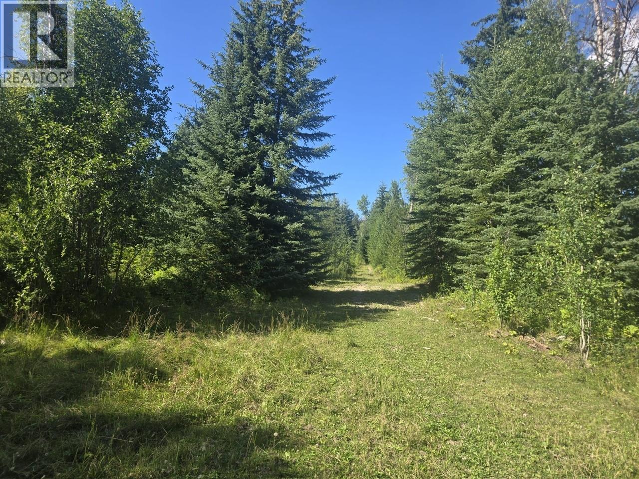 3680 Miller Lake Fsr Forest, Falkland, British Columbia  V0E 1W1 - Photo 22 - 10357504