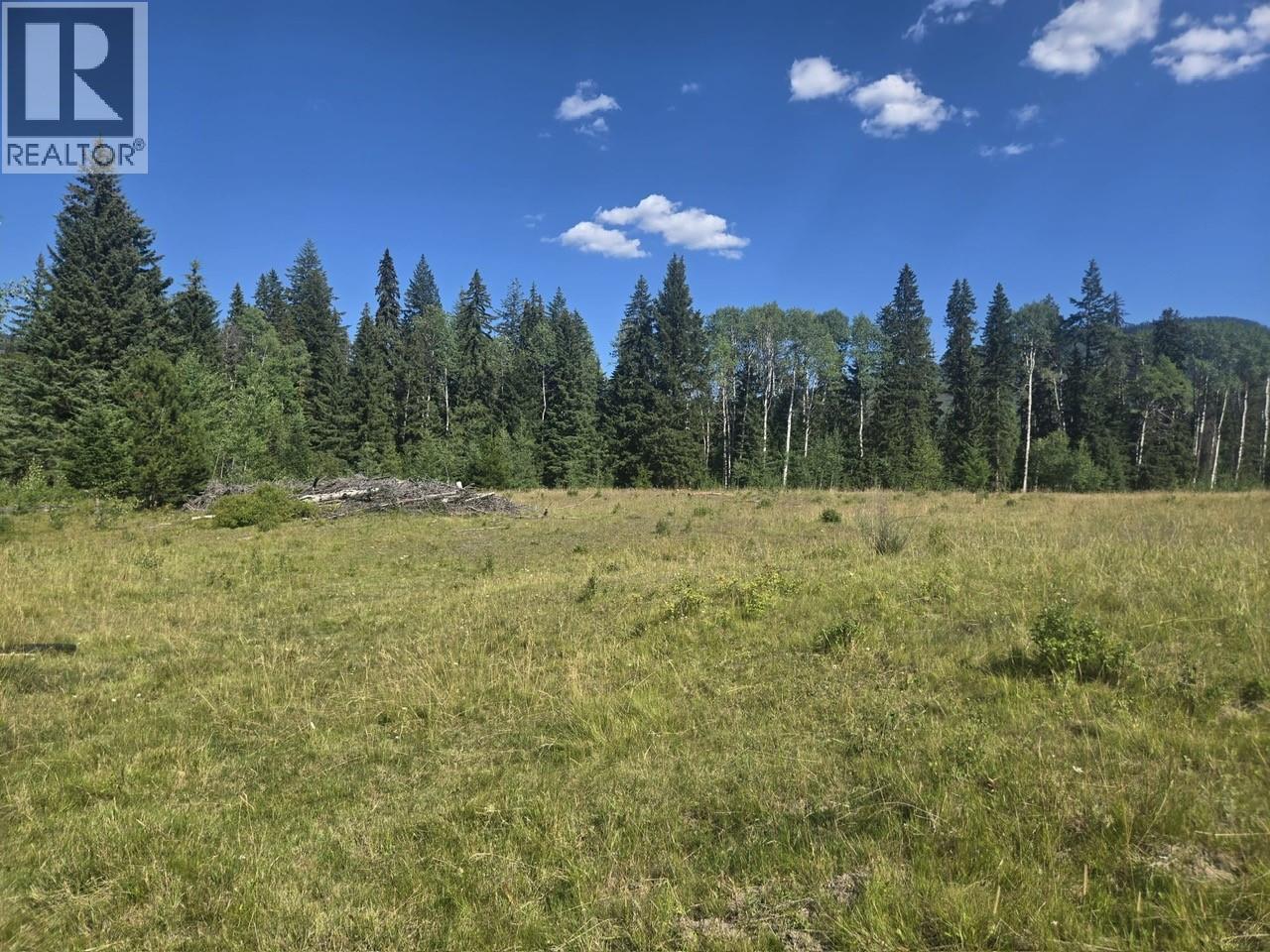 3680 Miller Lake Fsr Forest, Falkland, British Columbia  V0E 1W1 - Photo 24 - 10357504