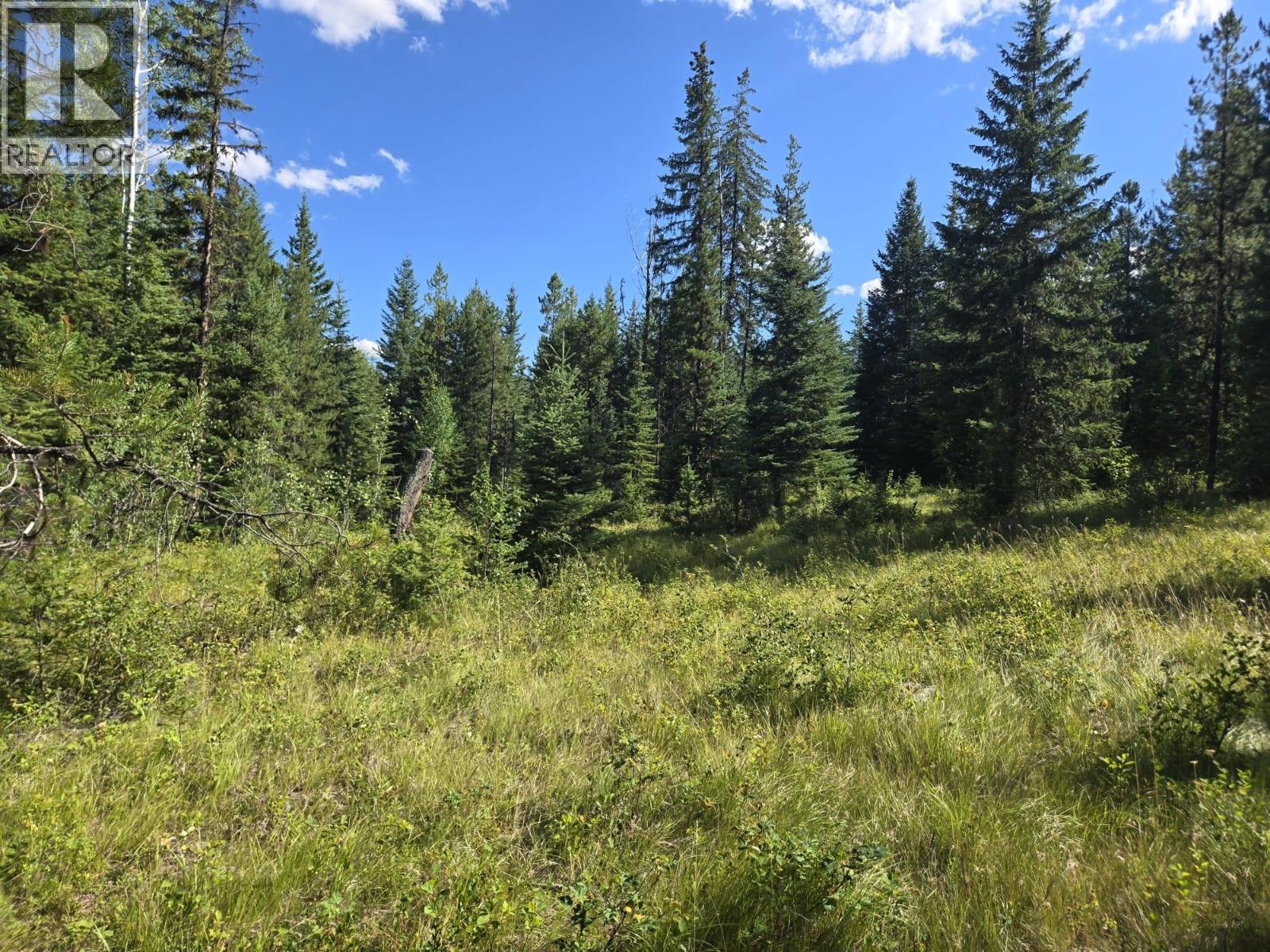 3680 Miller Lake Fsr Forest, Falkland, British Columbia  V0E 1W1 - Photo 26 - 10357504