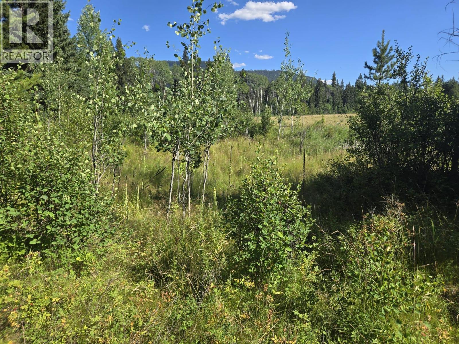 3680 Miller Lake Fsr Forest, Falkland, British Columbia  V0E 1W1 - Photo 27 - 10357504