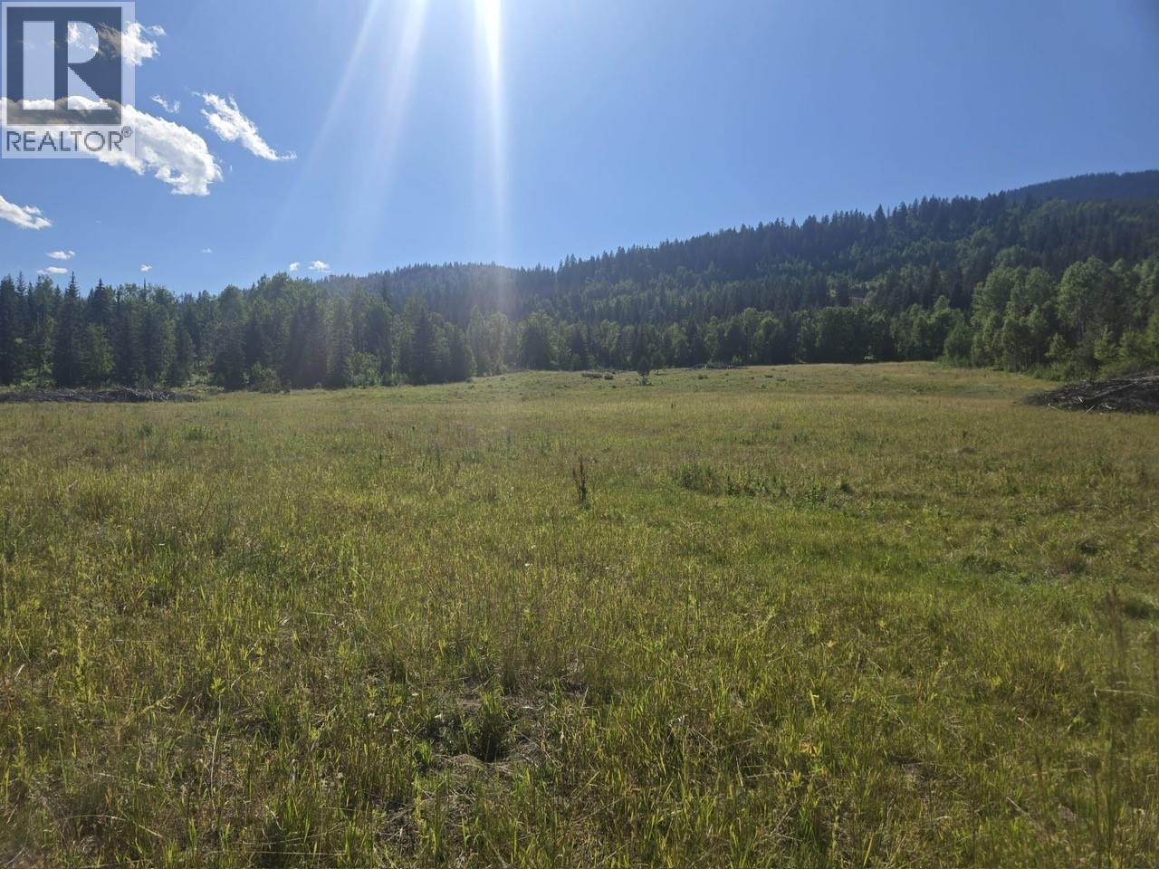 3680 Miller Lake Fsr Forest, Falkland, British Columbia  V0E 1W1 - Photo 3 - 10357504