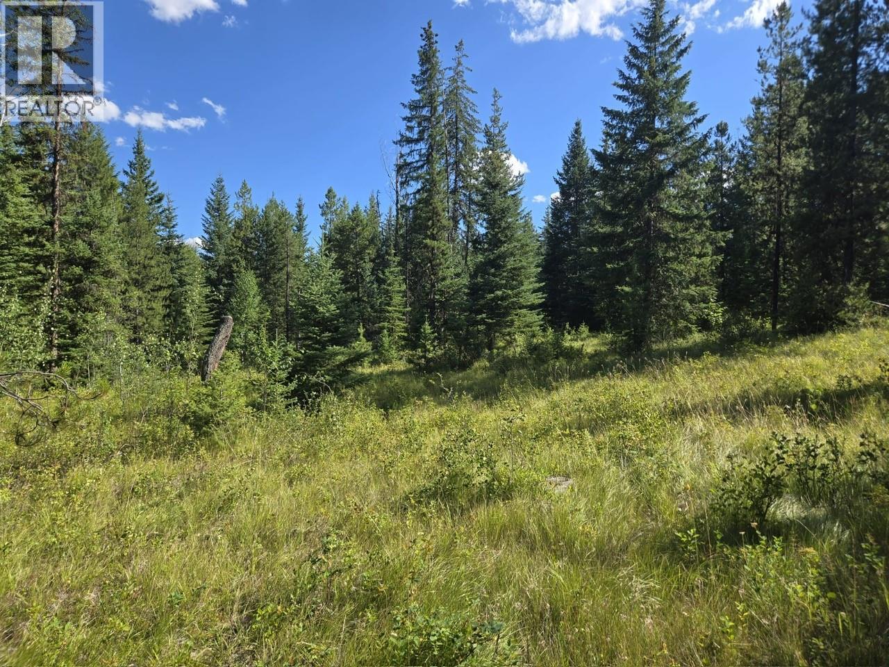 3680 Miller Lake Fsr Forest, Falkland, British Columbia  V0E 1W1 - Photo 5 - 10357504