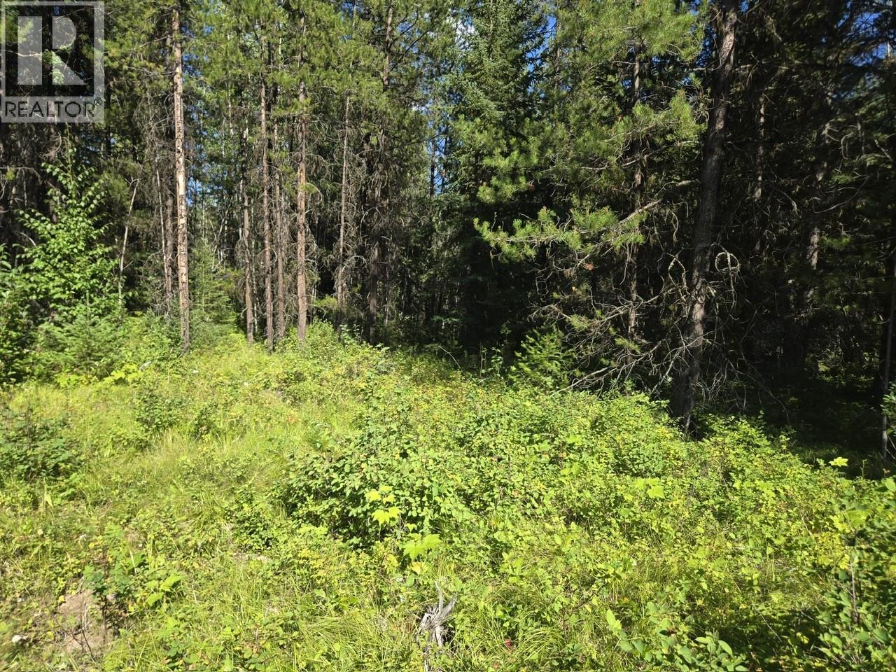 3680 Miller Lake Fsr Forest, Falkland, British Columbia  V0E 1W1 - Photo 6 - 10357504