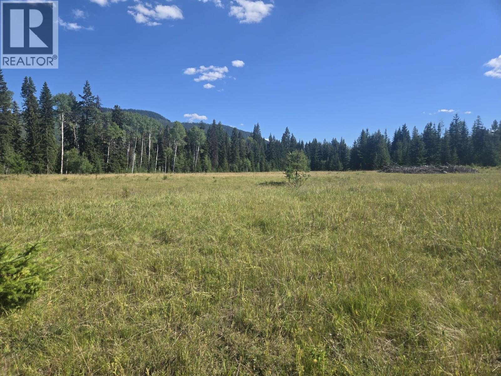 3680 Miller Lake Fsr Forest, Falkland, British Columbia  V0E 1W1 - Photo 7 - 10357504