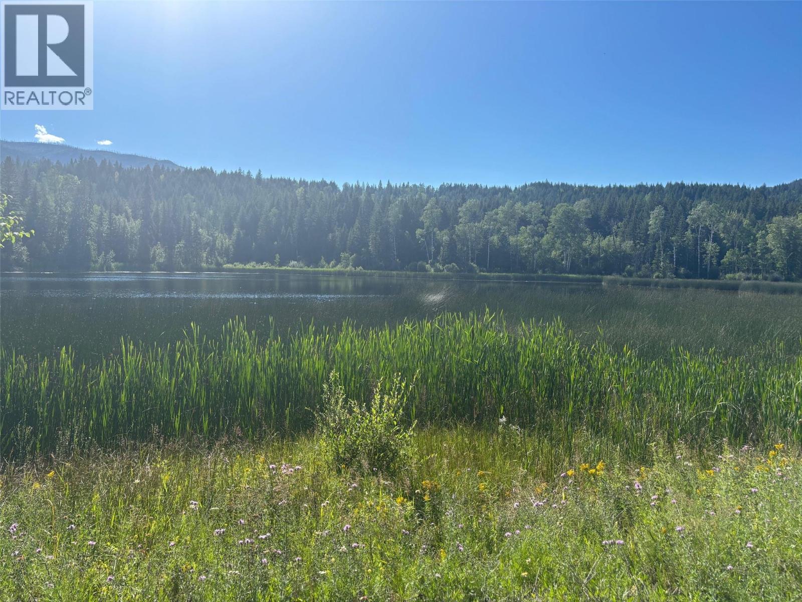 3680 Miller Lake Fsr Forest, Falkland, British Columbia  V0E 1W1 - Photo 8 - 10357504
