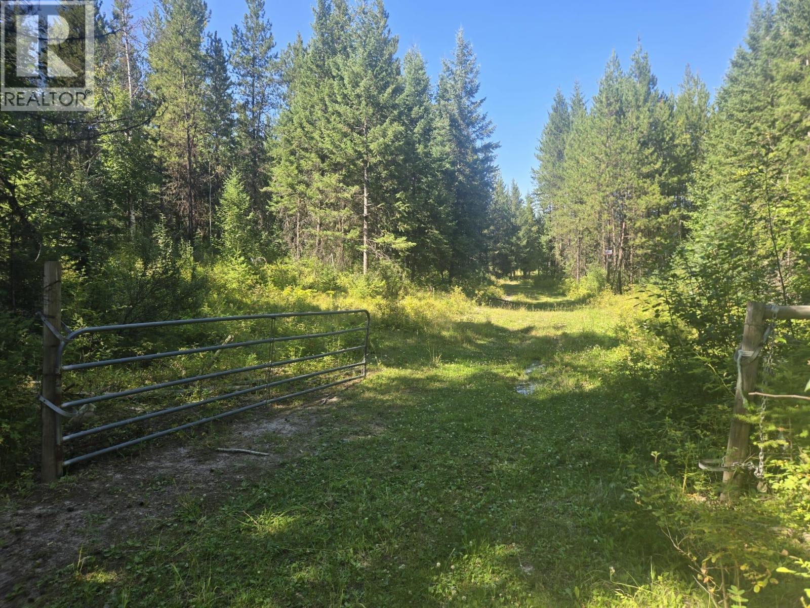 3680 Miller Lake Fsr Forest, Falkland, British Columbia  V0E 1W1 - Photo 9 - 10357504