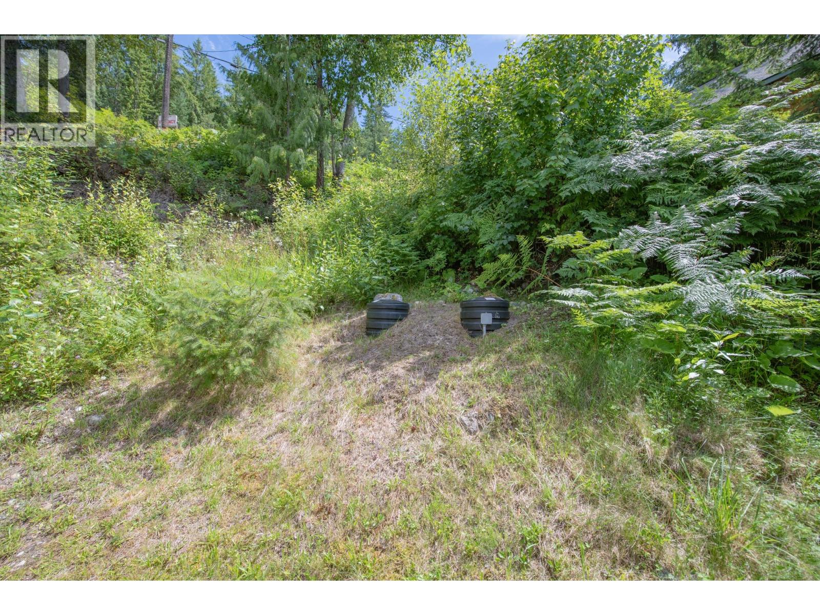 1710 6 Highway, Nakusp, British Columbia  V0G 1R1 - Photo 68 - 10357882