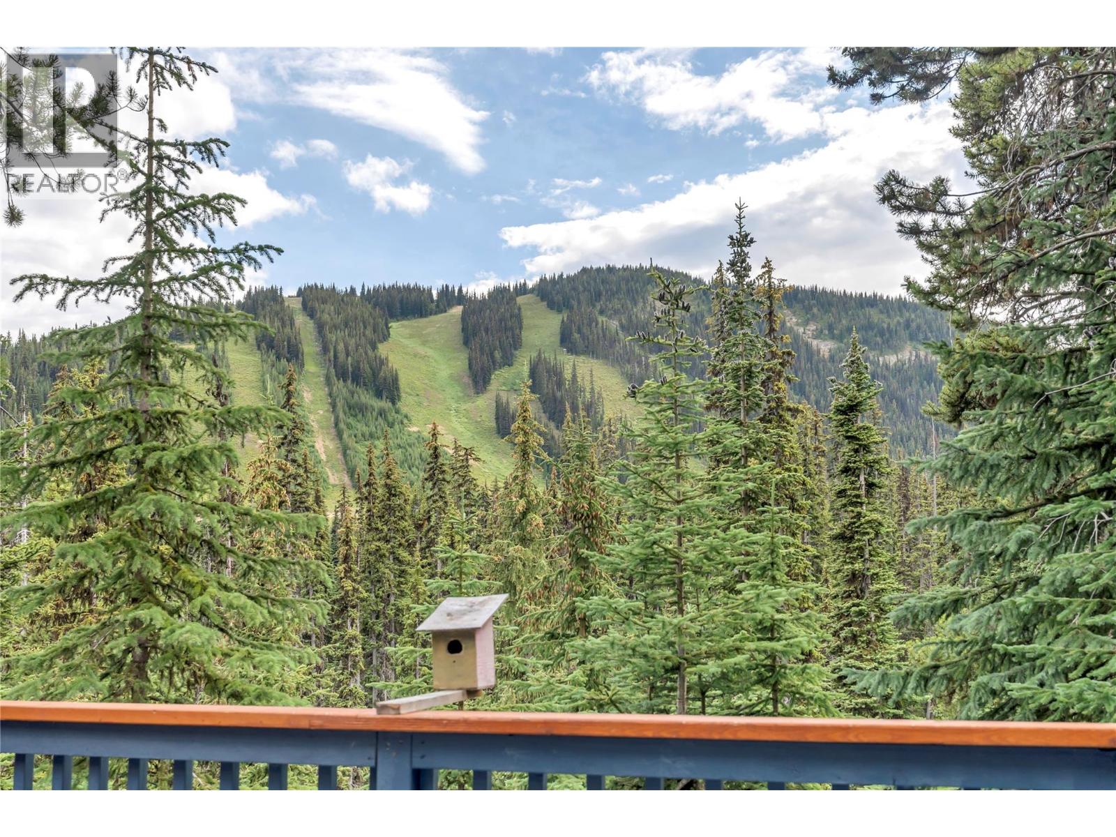 1417 Apex Mountain Road, Apex Mountain, British Columbia  V0X 1N6 - Photo 4 - 10357668