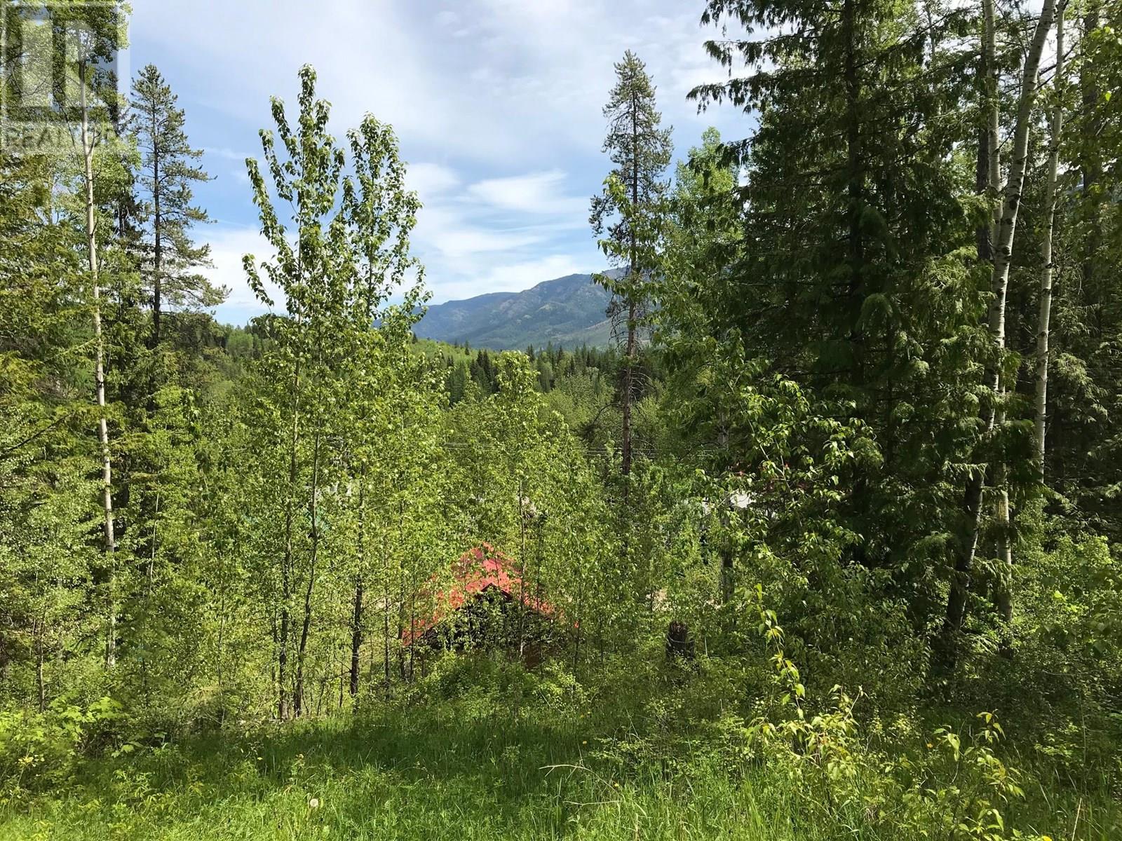 9 Alpine Trail Place Unit# Lot 16, Fernie, British Columbia  V0B 1M5 - Photo 7 - 10357727