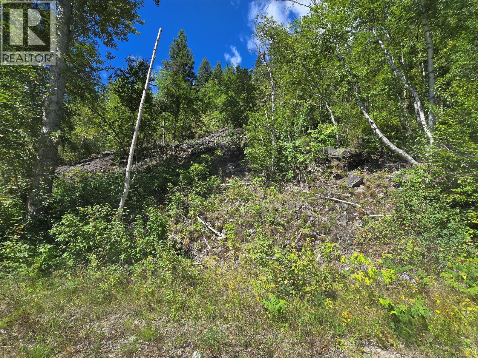 3418 Roundtop Road, Clearwater, British Columbia  V0E 2C0 - Photo 10 - 10357713