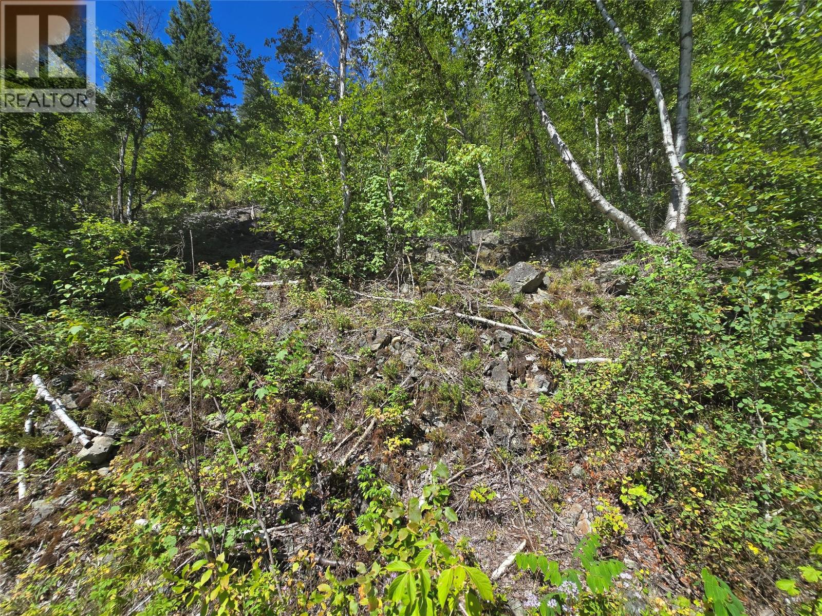 3418 Roundtop Road, Clearwater, British Columbia  V0E 2C0 - Photo 11 - 10357713