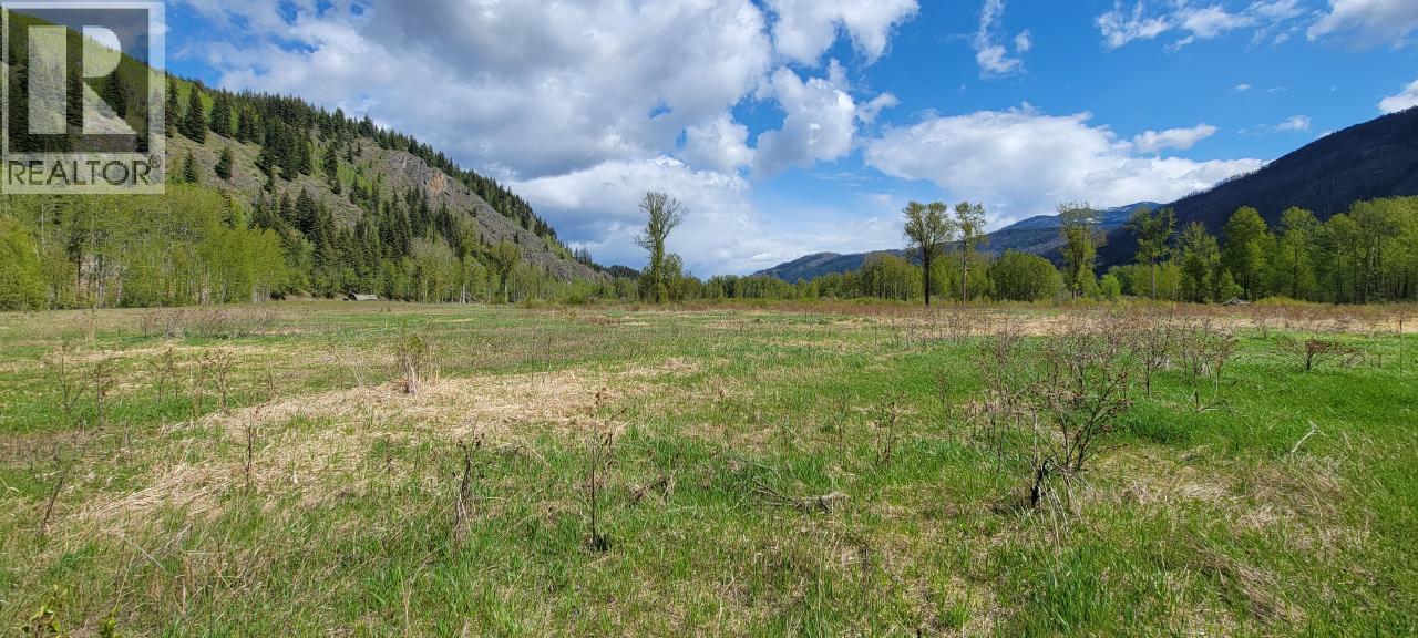 3418 Roundtop Road, Clearwater, British Columbia  V0E 2C0 - Photo 18 - 10357713