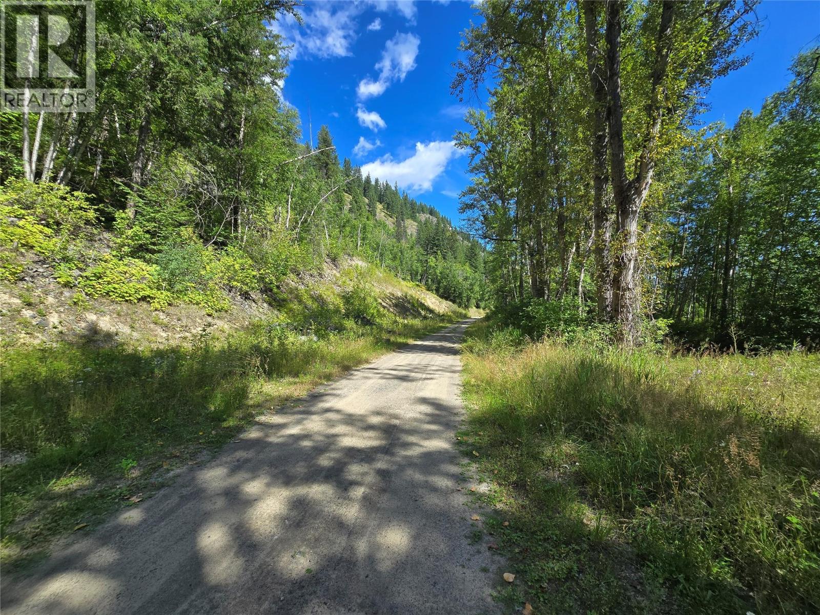 3418 Roundtop Road, Clearwater, British Columbia  V0E 2C0 - Photo 19 - 10357713