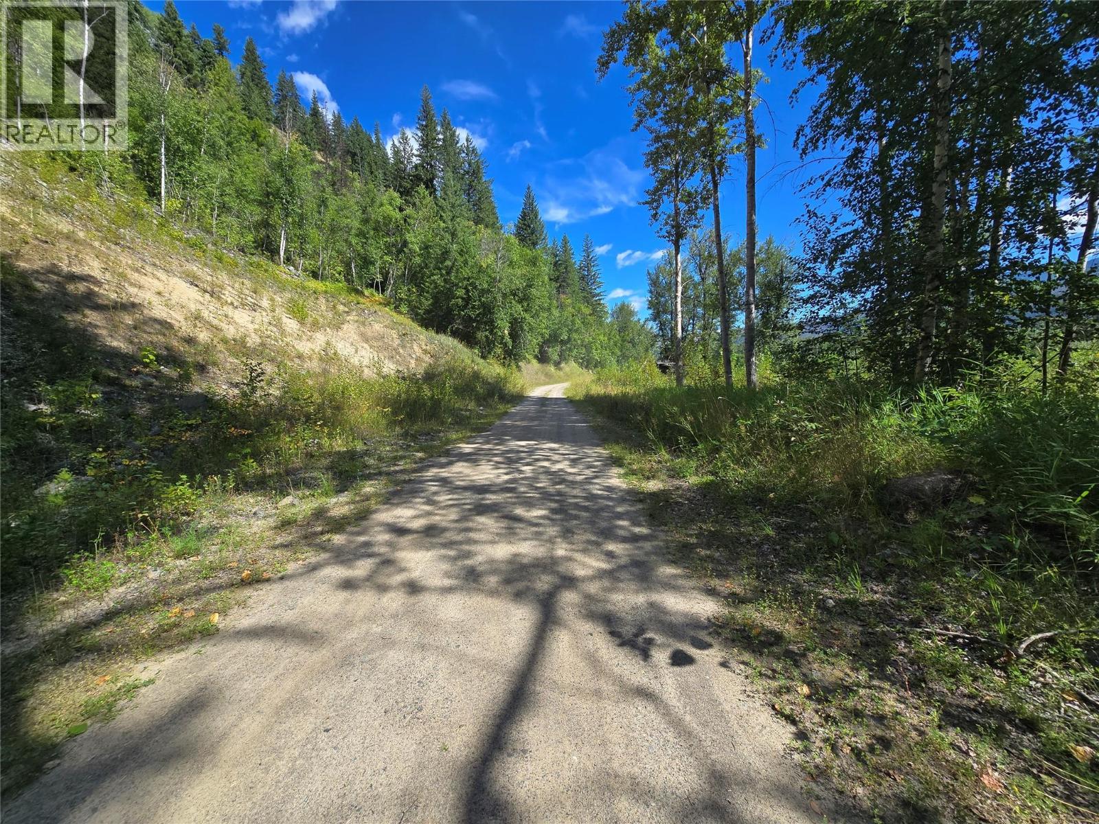 3418 Roundtop Road, Clearwater, British Columbia  V0E 2C0 - Photo 2 - 10357713