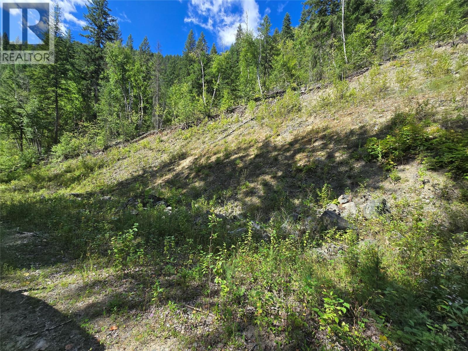 3418 Roundtop Road, Clearwater, British Columbia  V0E 2C0 - Photo 3 - 10357713