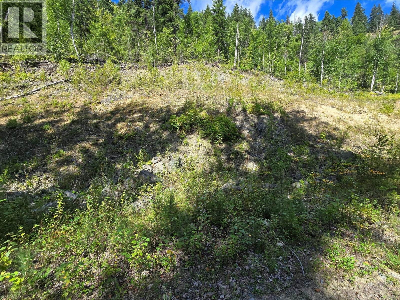 3418 Roundtop Road, Clearwater, British Columbia  V0E 2C0 - Photo 4 - 10357713