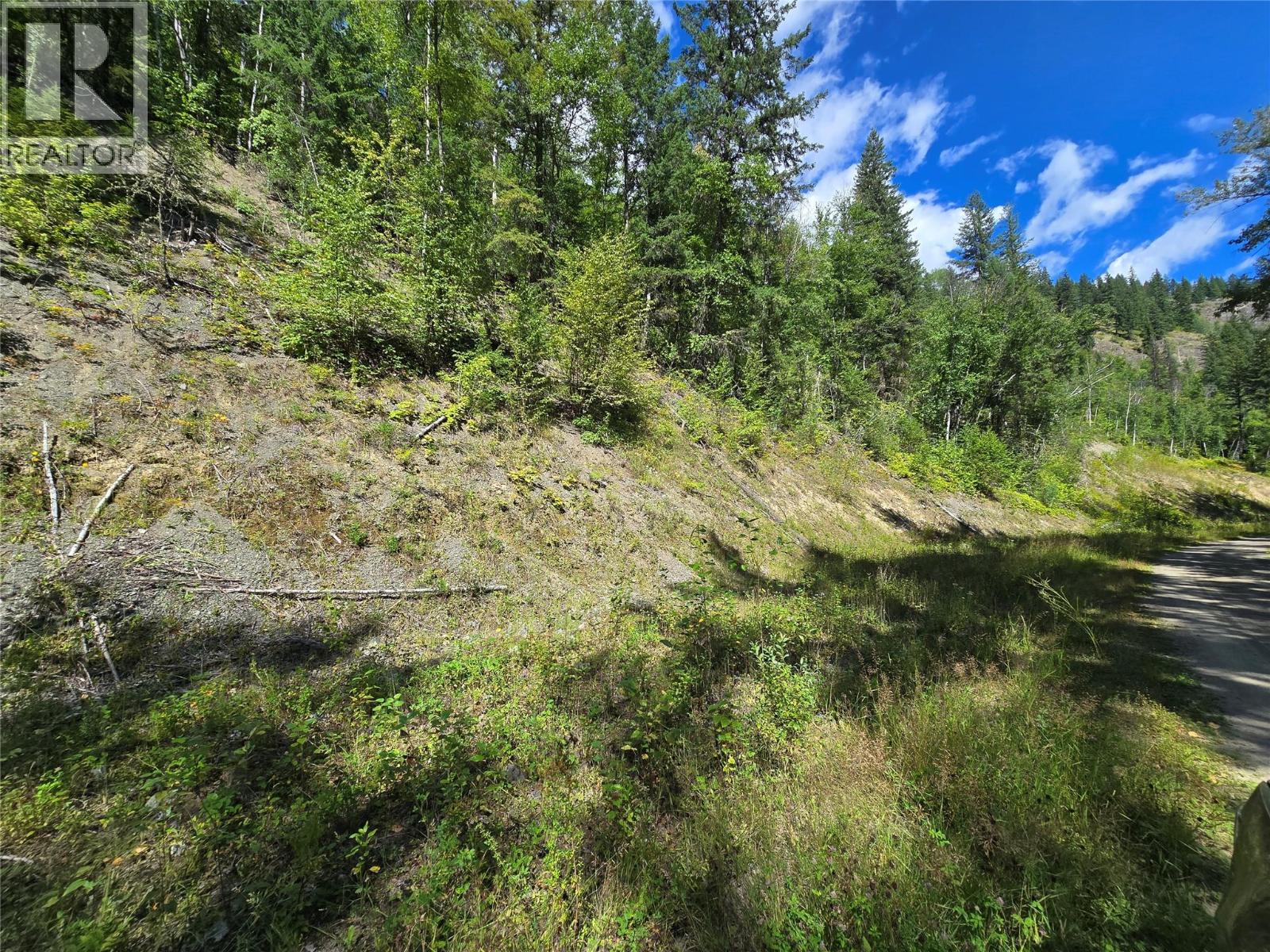 3418 Roundtop Road, Clearwater, British Columbia  V0E 2C0 - Photo 5 - 10357713