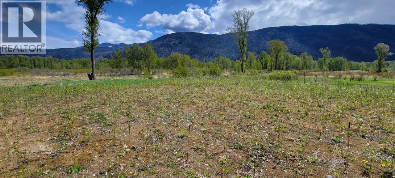 3418 Roundtop Road, Clearwater, British Columbia  V0E 2C0 - Photo 6 - 10357713