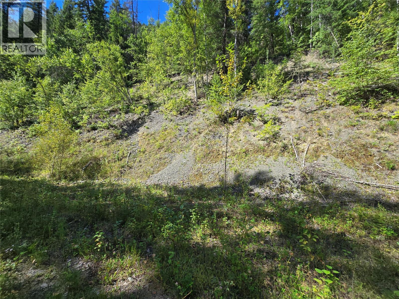 3418 Roundtop Road, Clearwater, British Columbia  V0E 2C0 - Photo 8 - 10357713