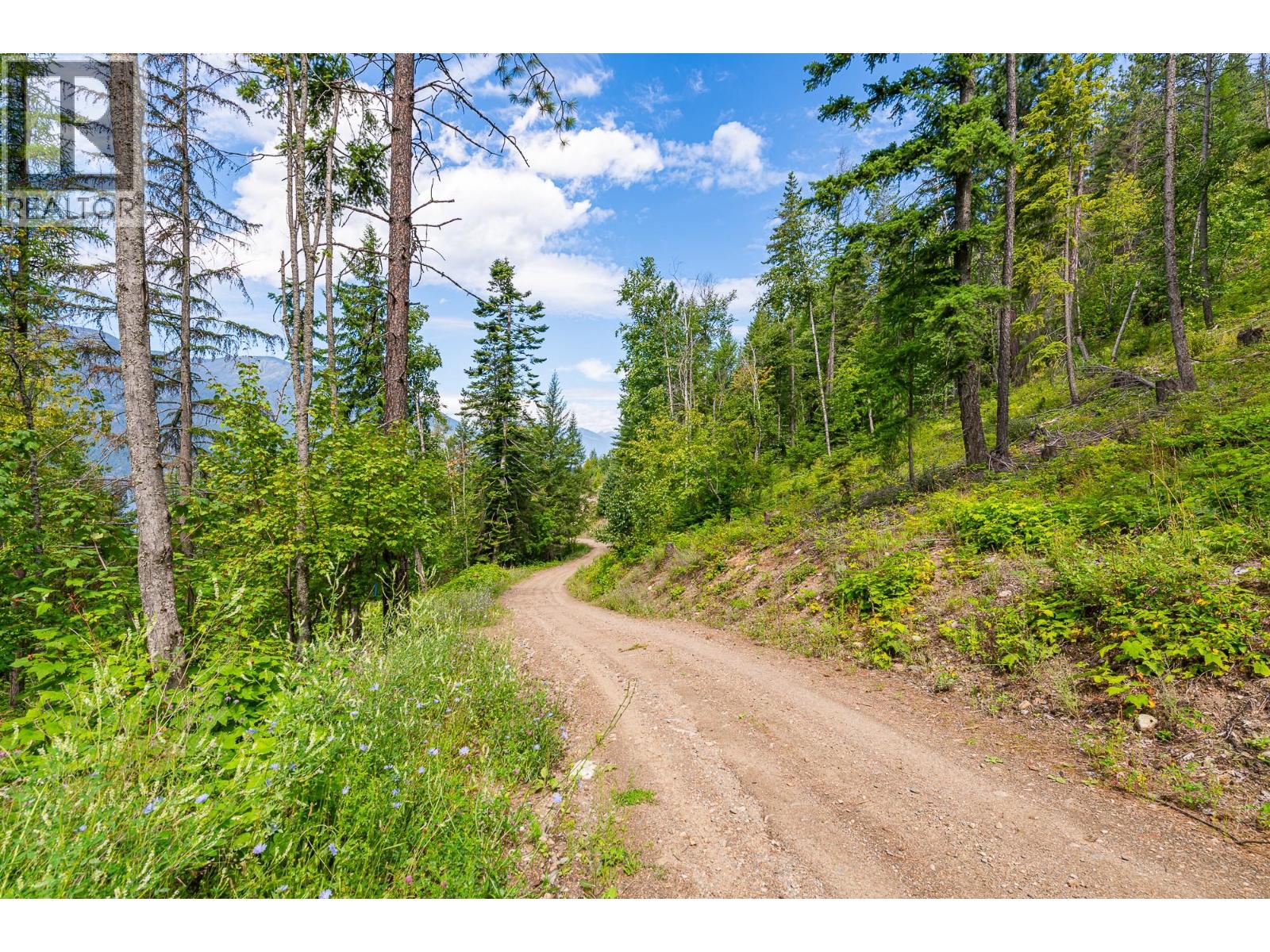 Sublot 9 Mountain Shores Road, Boswell, British Columbia  V0B 1A0 - Photo 34 - 10357404