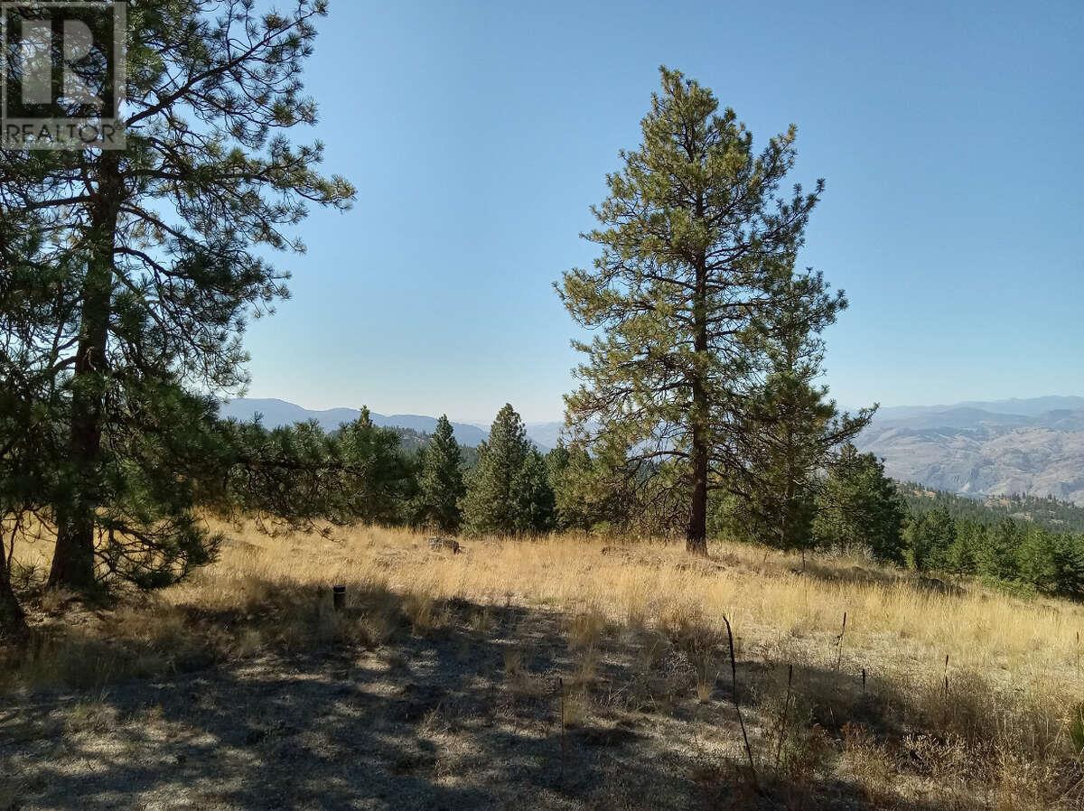 1024 Bullmoose Trail Lot# 8, Osoyoos, British Columbia  V0H 1V6 - Photo 11 - 10358218