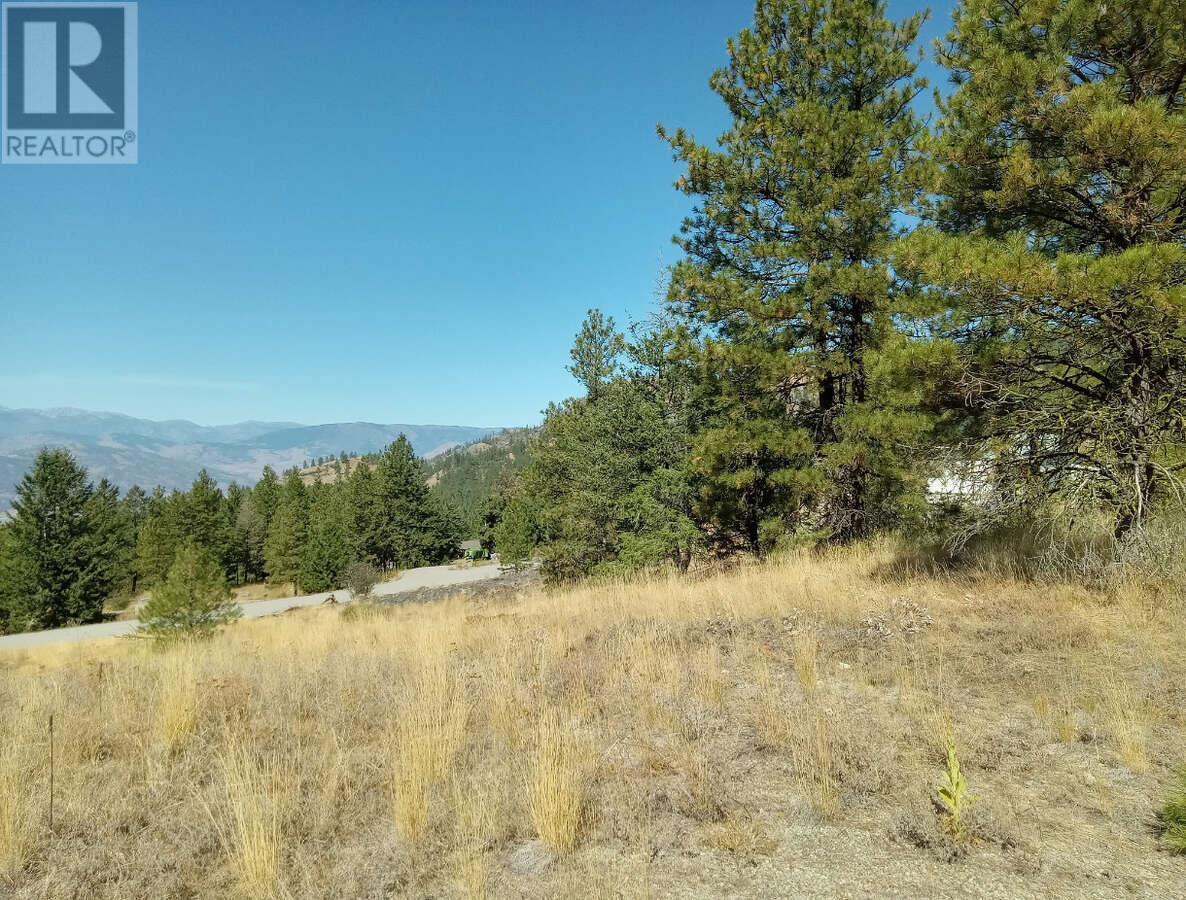 1024 Bullmoose Trail Lot# 8, Osoyoos, British Columbia  V0H 1V6 - Photo 14 - 10358218