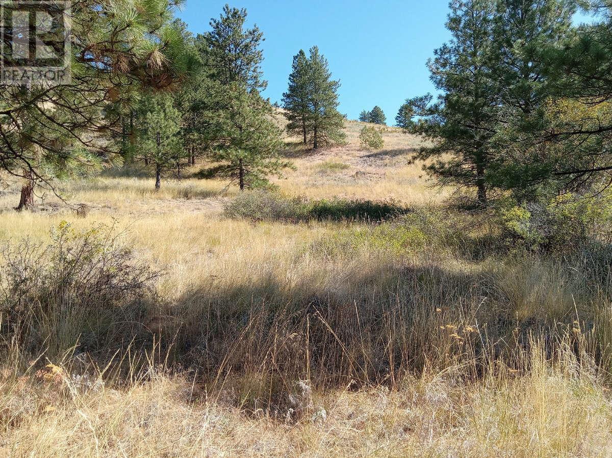 1024 Bullmoose Trail Lot# 8, Osoyoos, British Columbia  V0H 1V6 - Photo 15 - 10358218