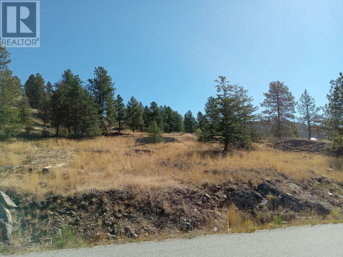 1024 Bullmoose Trail Lot# 8, Osoyoos, British Columbia  V0H 1V6 - Photo 16 - 10358218