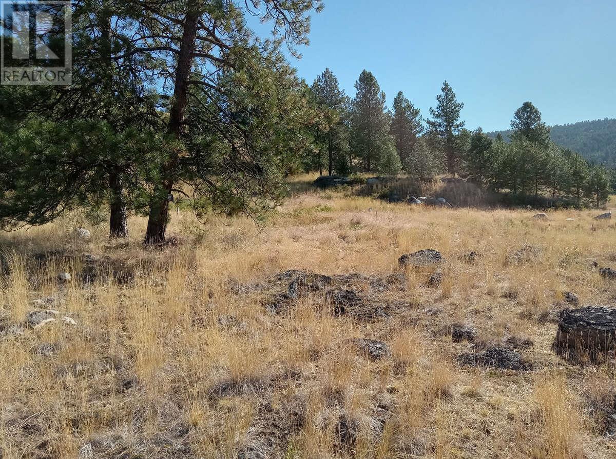 1024 Bullmoose Trail Lot# 8, Osoyoos, British Columbia  V0H 1V6 - Photo 18 - 10358218