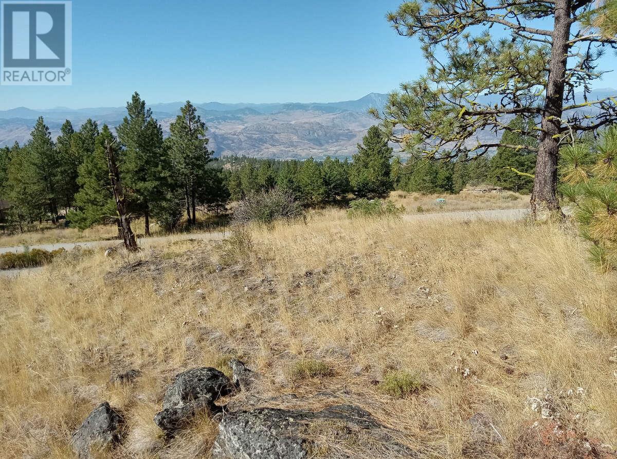 1024 Bullmoose Trail Lot# 8, Osoyoos, British Columbia  V0H 1V6 - Photo 19 - 10358218