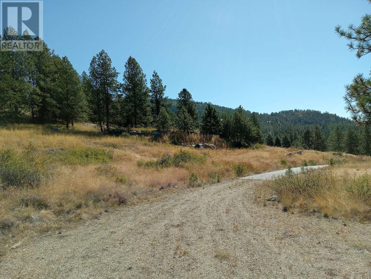 1024 Bullmoose Trail Lot# 8, Osoyoos, British Columbia  V0H 1V6 - Photo 7 - 10358218