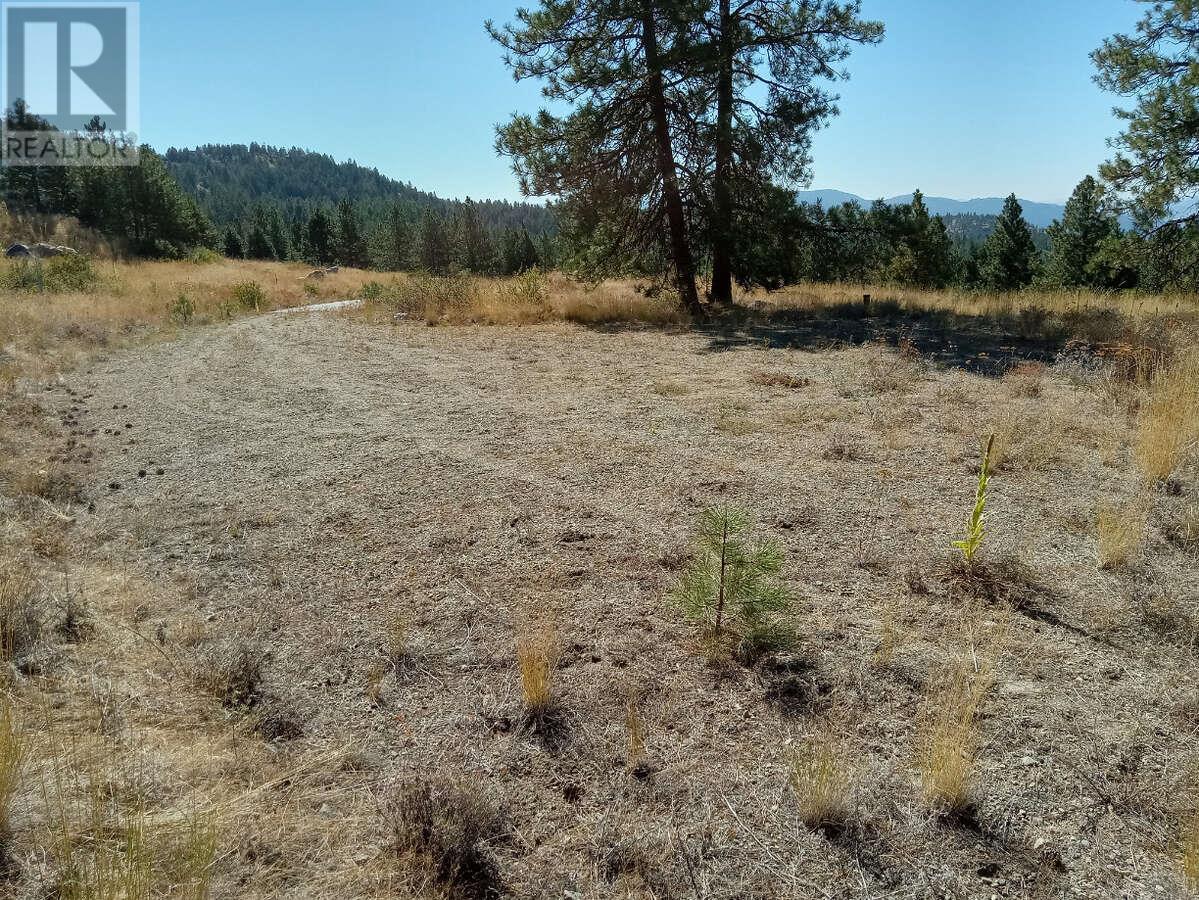 1024 Bullmoose Trail Lot# 8, Osoyoos, British Columbia  V0H 1V6 - Photo 8 - 10358218