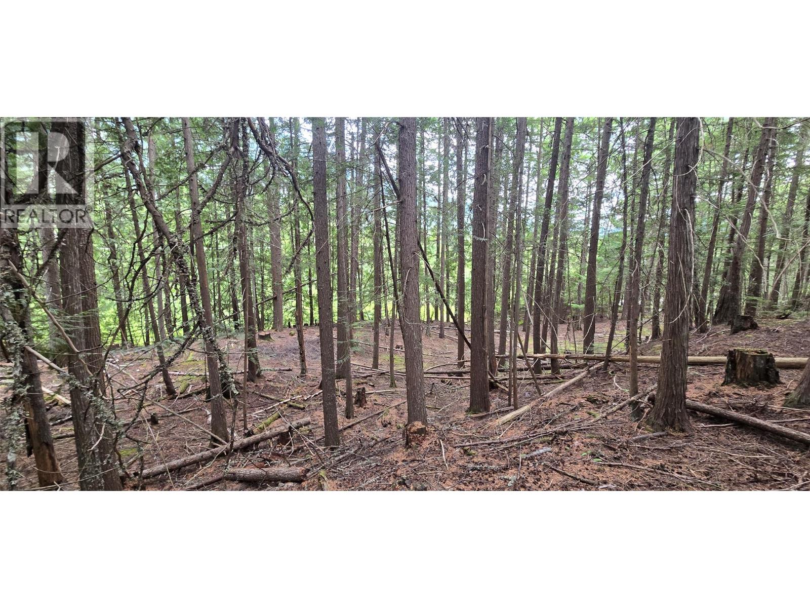 4560 6 Highway, Winlaw, British Columbia  V0G 2J0 - Photo 10 - 10358238