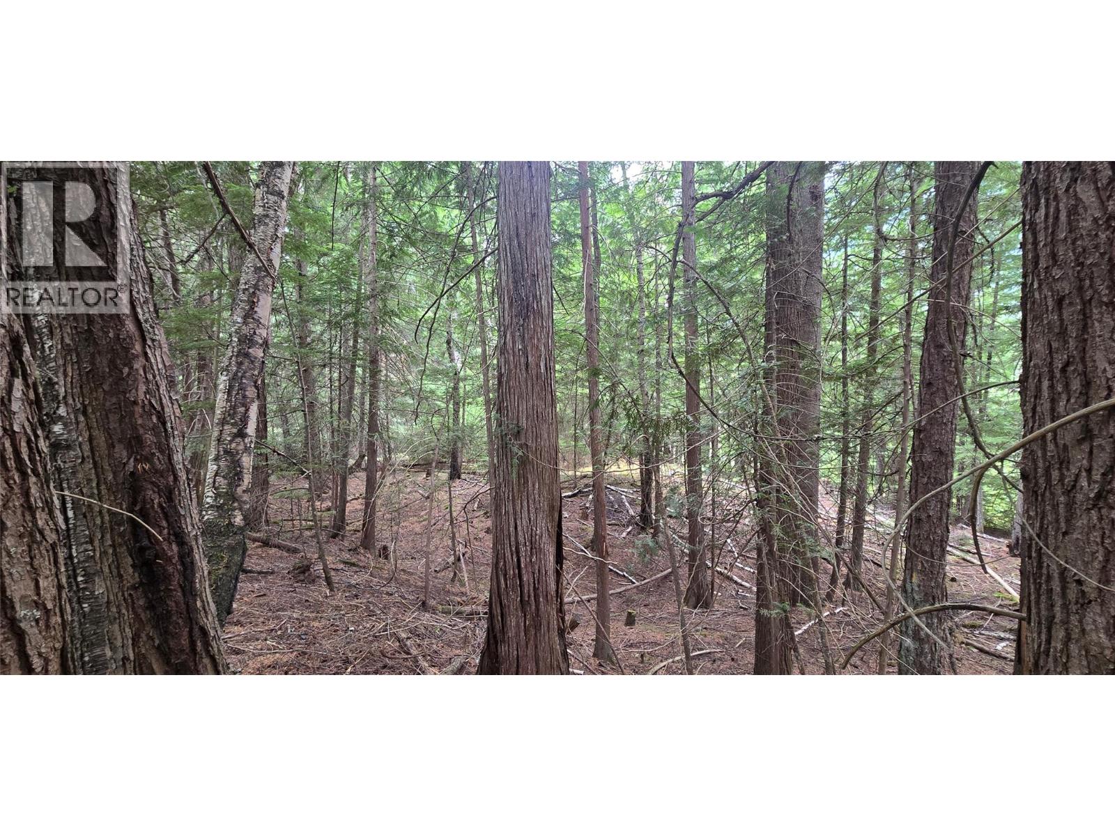 4560 6 Highway, Winlaw, British Columbia  V0G 2J0 - Photo 11 - 10358238