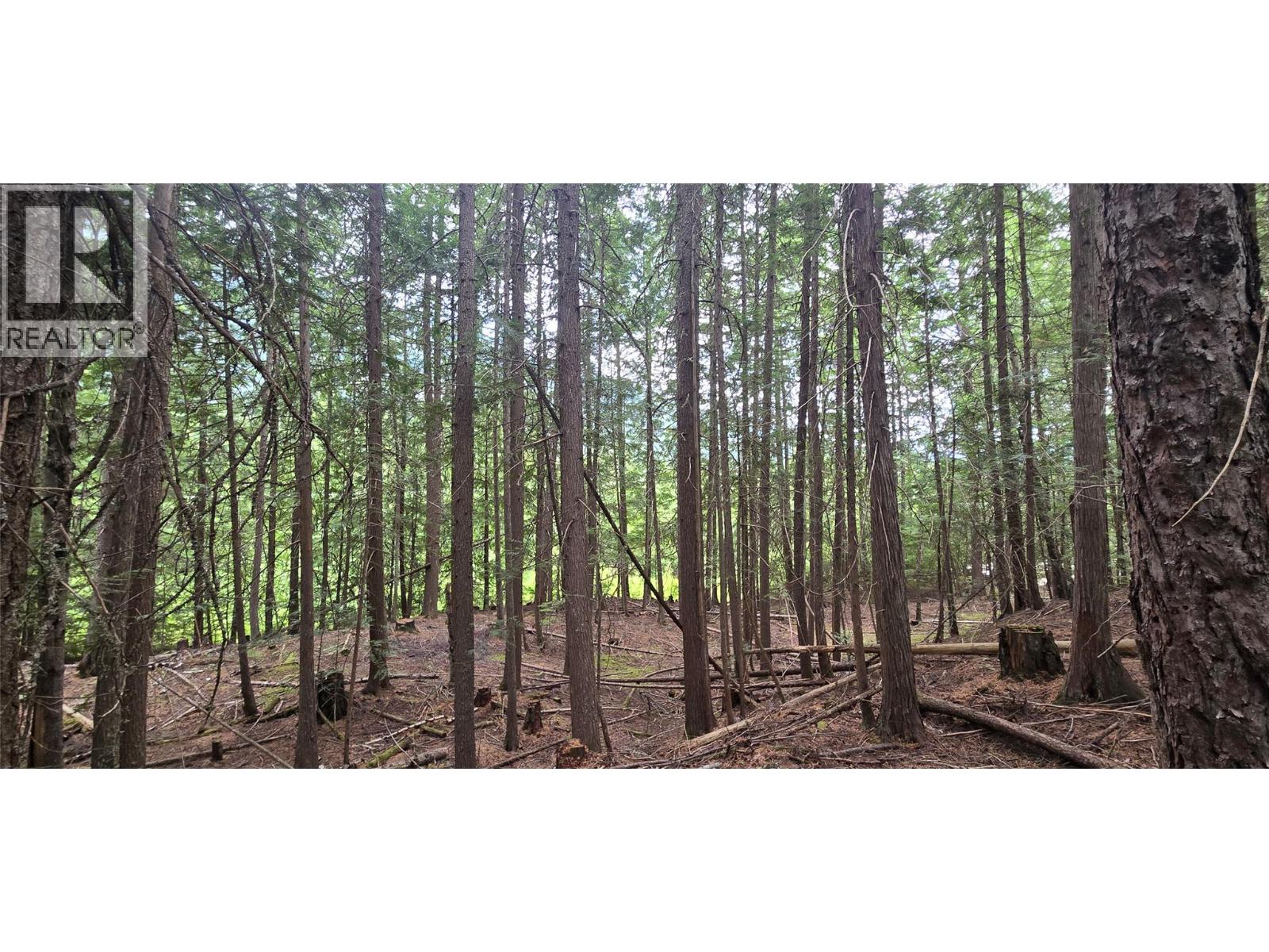 4560 6 Highway, Winlaw, British Columbia  V0G 2J0 - Photo 12 - 10358238