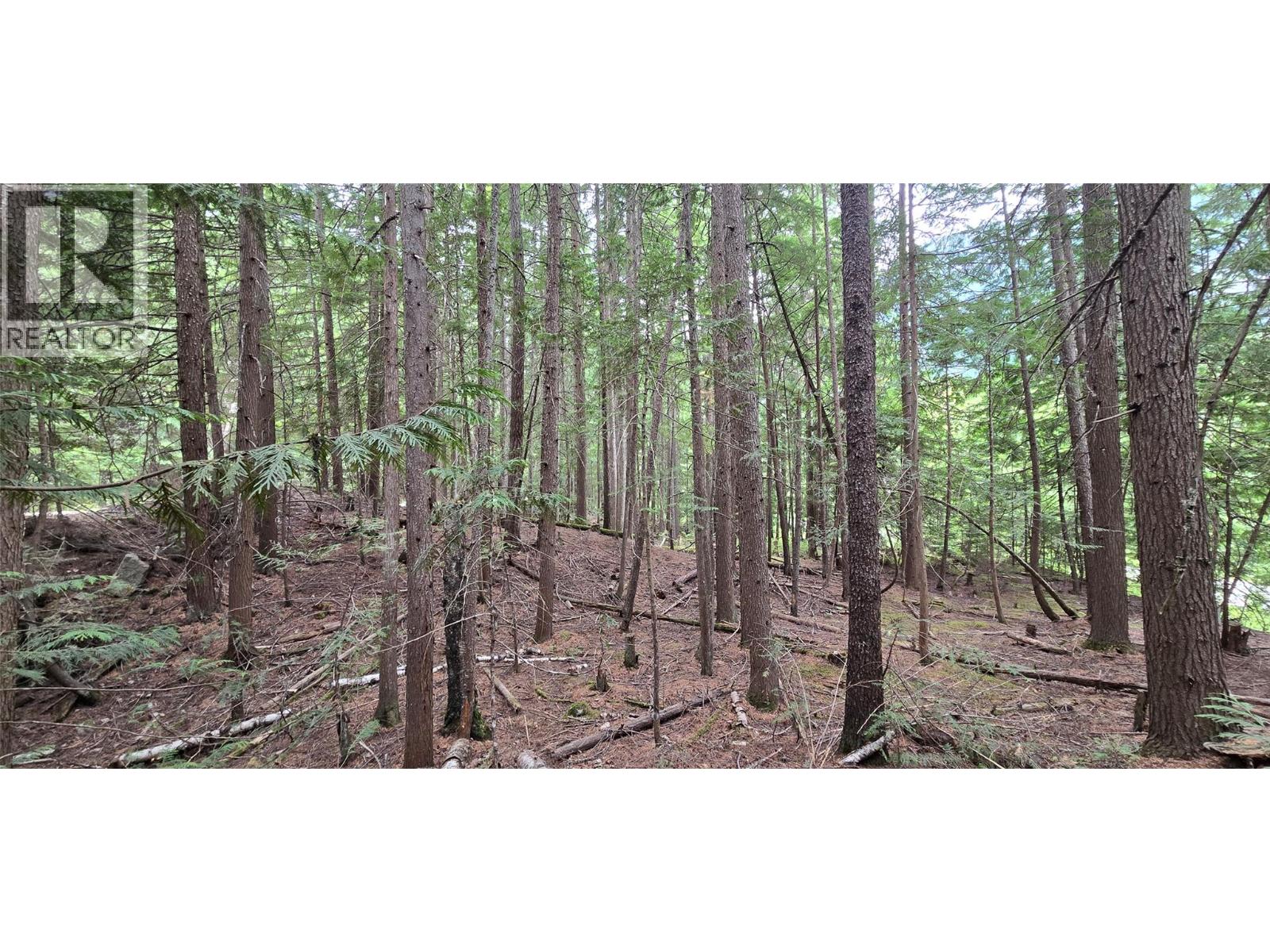 4560 6 Highway, Winlaw, British Columbia  V0G 2J0 - Photo 13 - 10358238