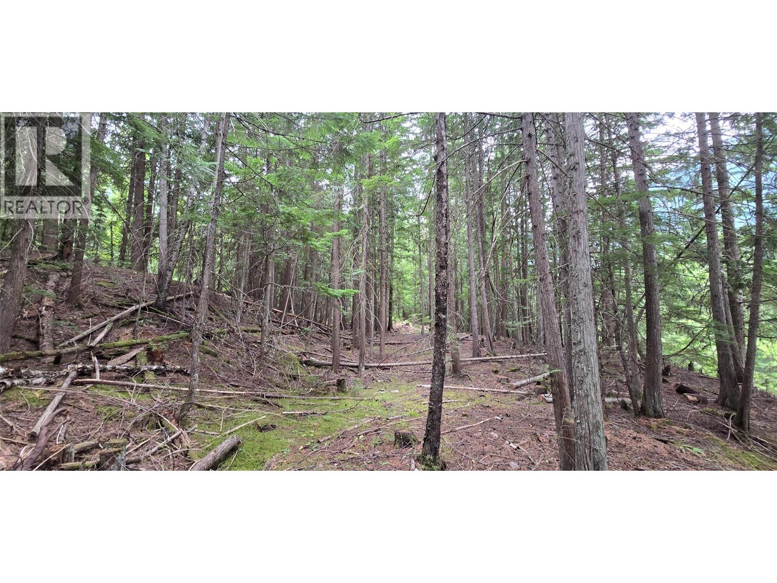 4560 6 Highway, Winlaw, British Columbia  V0G 2J0 - Photo 14 - 10358238