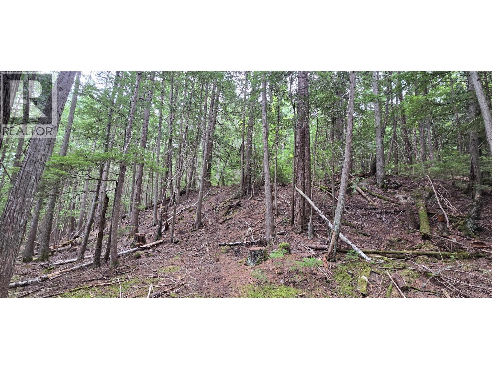 4560 6 Highway, Winlaw, British Columbia  V0G 2J0 - Photo 15 - 10358238