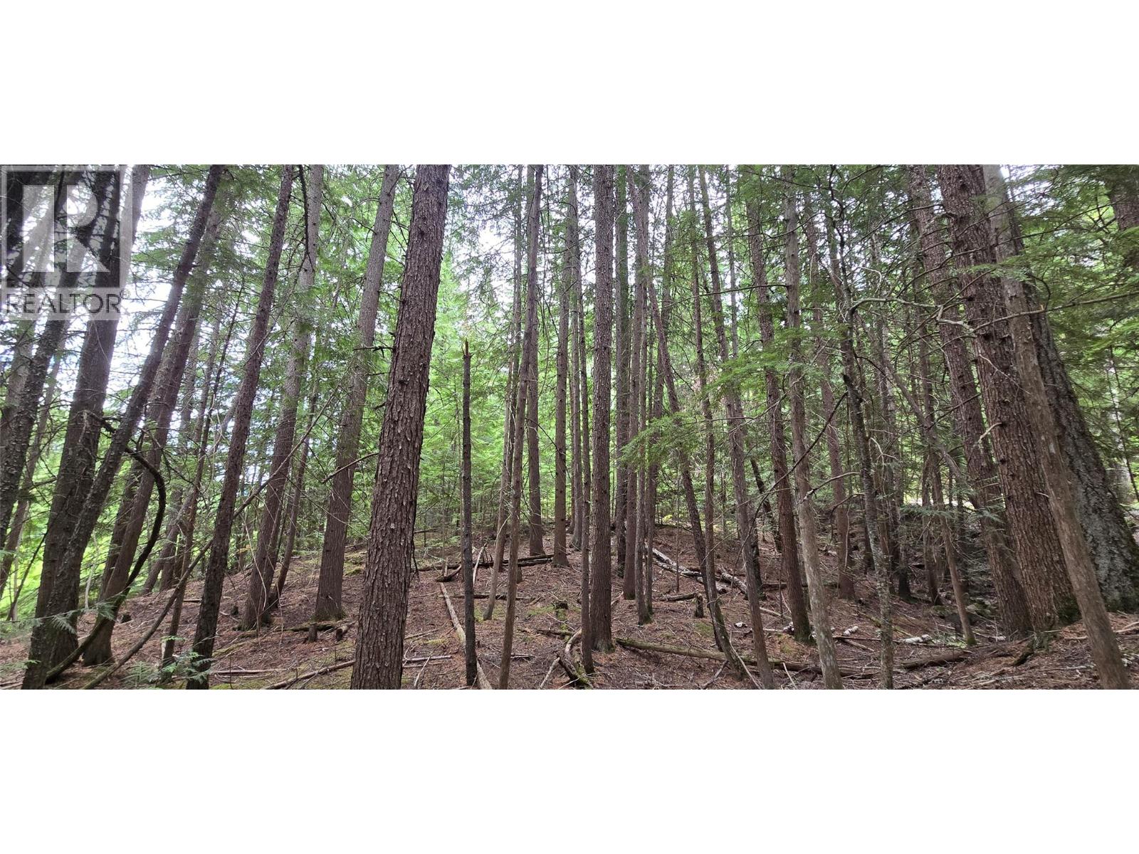 4560 6 Highway, Winlaw, British Columbia  V0G 2J0 - Photo 17 - 10358238